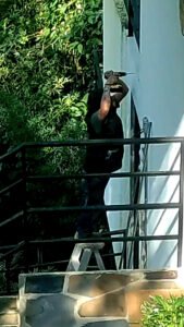 Cámaras de seguridad Videovigilancia, Circuito cerrado de televisión (CCTV), Televisión en circuito cerrado (TVCC) Cámaras de vigilancia Cámaras de monitoreo Cámaras de seguridad Cámaras de seguridad